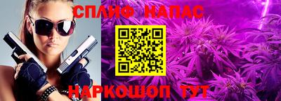 индика Краснознаменск